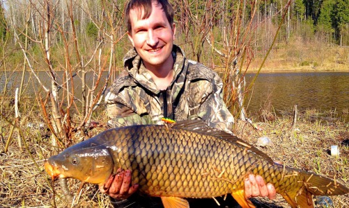 Подфартило: удачливый рыбак выловил в Кирово-Чепецком районе 7-килограммового карпа