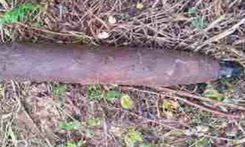 В Кировской области нашли боевой снаряд времен Гражданской войны