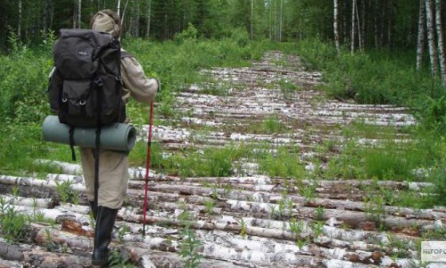 Первая группа чепецких поисковиков выехала на раскопки в Новгородскую область