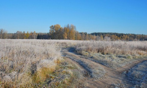 В Кировской области ожидаются заморозки до -7 и снег
