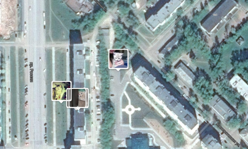 На карте котов мира засветились домашние питомцы из Кирово-Чепецка