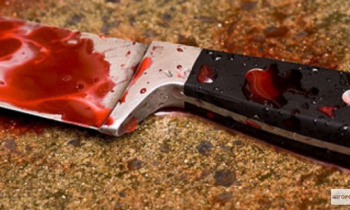 В Ленинградской области мясник убил и расчленил кировчанина