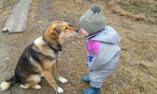 В Кировской области на улице заблудился трехлетний малыш