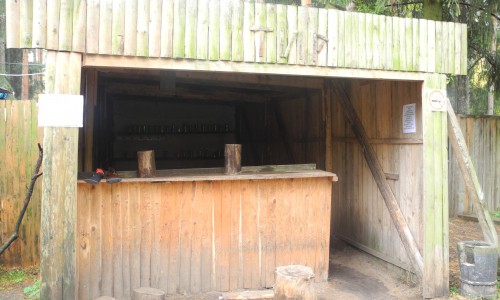 Ребенок выстрелил в лицо сверстнику: уникальное видео с места происшествия