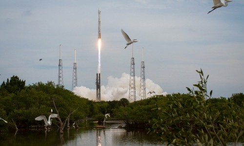 Чепчане могут купить билет на космический корабль, который полетит на Марс