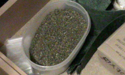 В Кировской области от употребления спайсов пострадали уже 493 человека