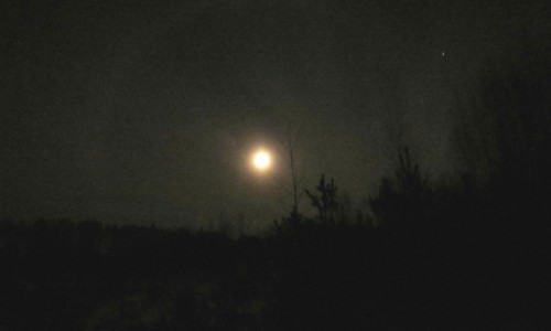 В Кирово-Чепецком районе зафиксировали лунное гало