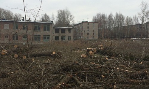 В Кирово-Чепецке на месте вырубленной рощи появится детский сад