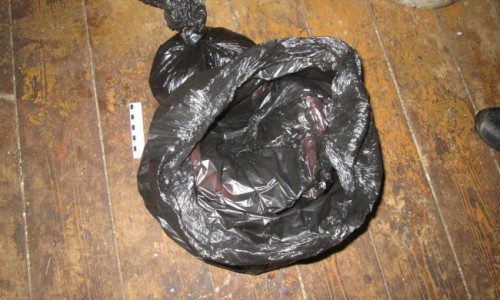 В Кировской области мать положила своего новорожденного сына в мусорный пакет и убила