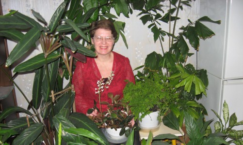 Жительница Кирово-Чепецка в небольшой «хрущевке» выращивает более 500 растений