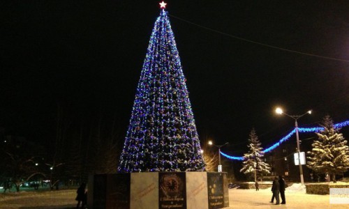 В Кировской области будут охранять новогодние ели