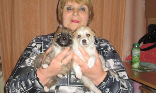 Чепчанка спасла щенков, выброшенных в мусоропровод