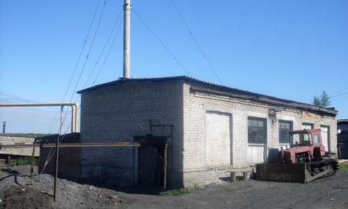 Девять тысяч человек требуют разобраться с главой поселения в Кировской области, которая сожгла в печи щенка