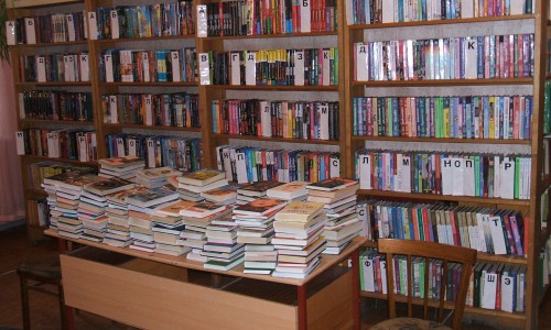 В Кировской области читатель ограбил библиотеку