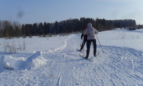 В Кирово-Чепецке неизвестный на внедорожнике разрушил популярную в городе лыжню