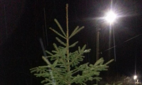 В Кировской области с детской площадки украли наряженную елку