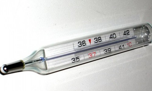 В Кирово-Чепецке во второй половине января прогнозируют эпидемию гриппа