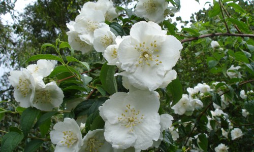 МИНПРОМТОРГ и МИНСЕЛЬХОЗ России одобрили инициативу производителей минеральных удобрений