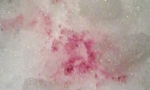 В Кирово-Чепецке появились «догхантеры»: уже есть первые жертвы среди домашних питомцев