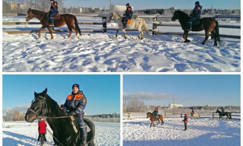 В Кировской области спасатели будут приезжать на помощь пострадавшим на лошадях