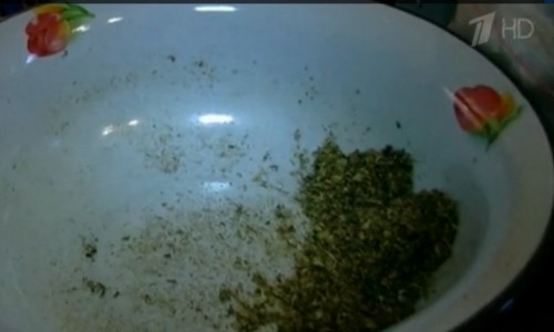 Видео: деньги от продажи спайсов в Кировской области шли в карман украинского миллионера