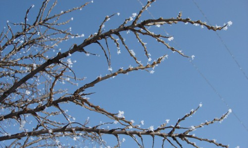 Зимний Кирово-Чепецк: каким видят город его жители?