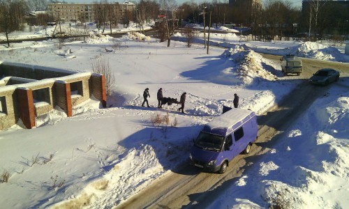 В Кировской области в подвале нашли труп: погибший мог быть бомжем