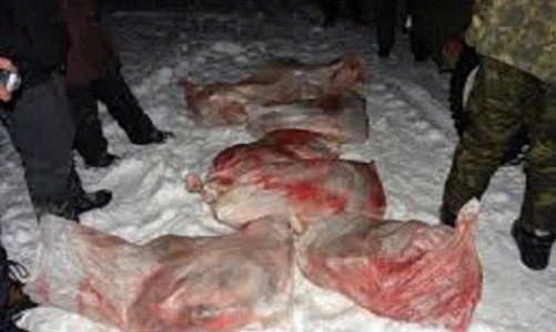 В Кировской области трое браконьеров убили двух лосей (ШОКИРУЮЩЕЕ ФОТО)