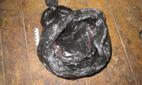 В Кировской области женщина, убившая новорожденного, была признана невменяемой