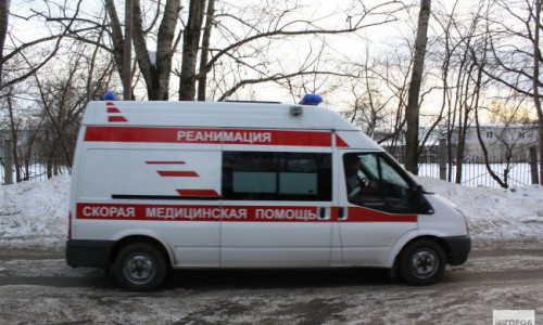 В Кировской области рабочий задохнулся под кучей навоза