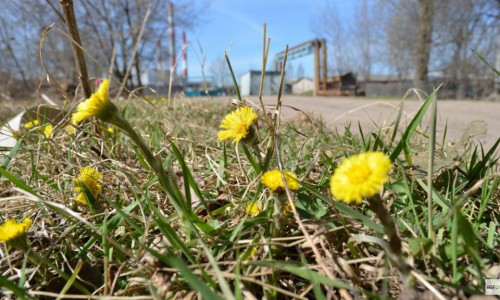 Метеорологи рассказали, какой будет весна в Кирово-Чепецке