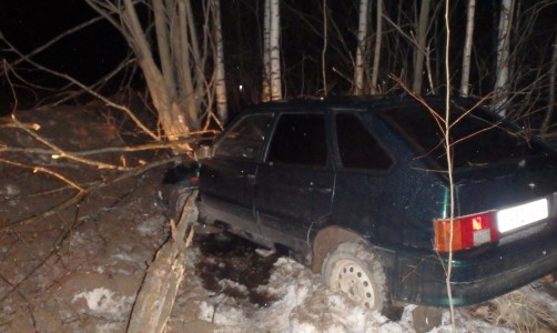 В Кирово-Чепецком районе легковушка врезалась в дерево: есть пострадавшие