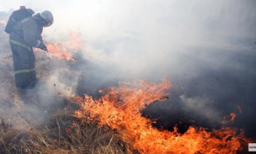 В Кирово-Чепецке сгорели овощные ямы