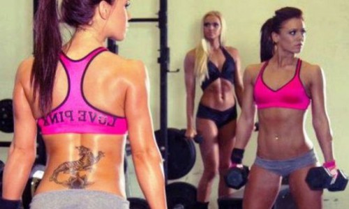 Тренируемся в спортзале: основные принципы