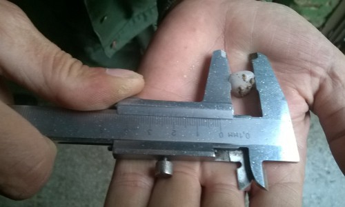 Фото: в Кирово-Чепецке выпал крупный град