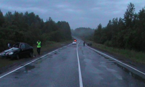 В Кировской области автомобиль сбил лося: в ДТП пострадали двое пассажиров