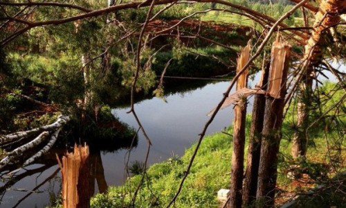 В Кирово-Чепецком районе прошёл смерч