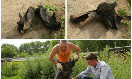 Горожанин нашел кости мамонта на дне Чепцы