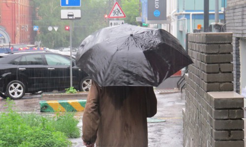 В Кирово-Чепецке ждут бурю с сильным дожем и шквалистым ветром