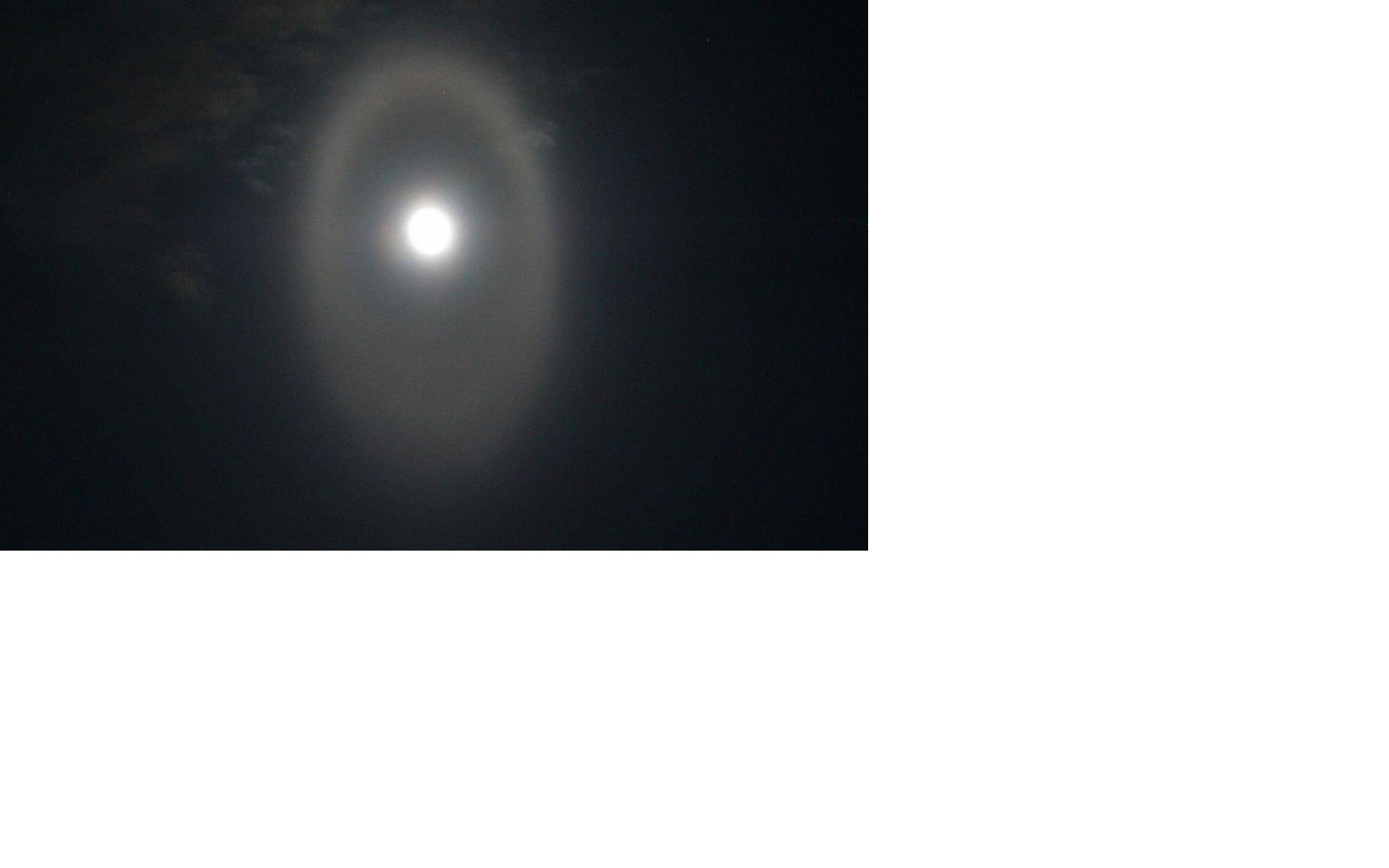 10 случаев в мире: в Кировской области заметили невероятно редкое явление