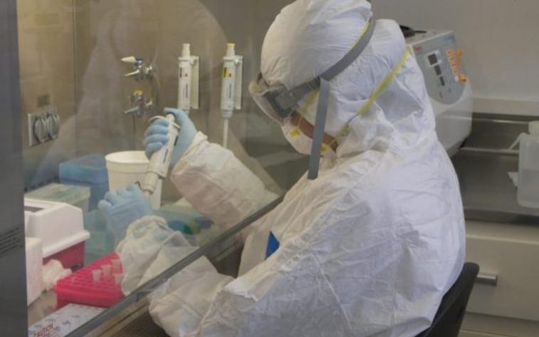 Онколог назвал вирусы, которые провоцируют появление рака