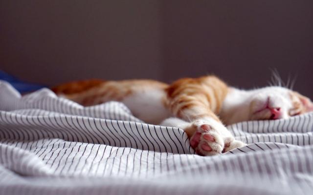 Владимир Путин заявил о дополнительном выходном в апреле