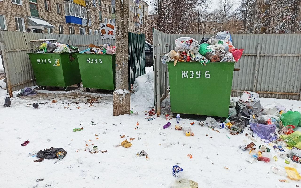 В Кирово-Чепецке из-за замены контейнеров перестали вывозить мусор