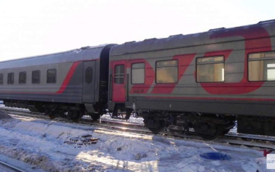 В Кирово-Чепецком районе поезд сбил 10 лошадей