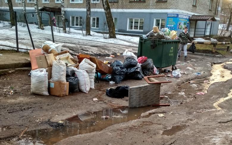 В Кирово-Чепецке рядом с жилым домом образовалась стихийная свалка