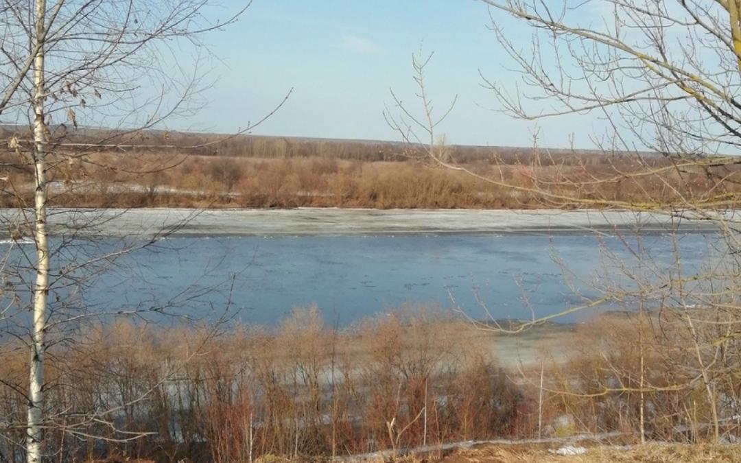 Фото дня: на Вятке на 3 недели раньше нормы начался ледоход