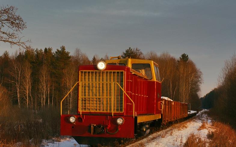 На узкоколейке ввели бесплатный проезд для медработников