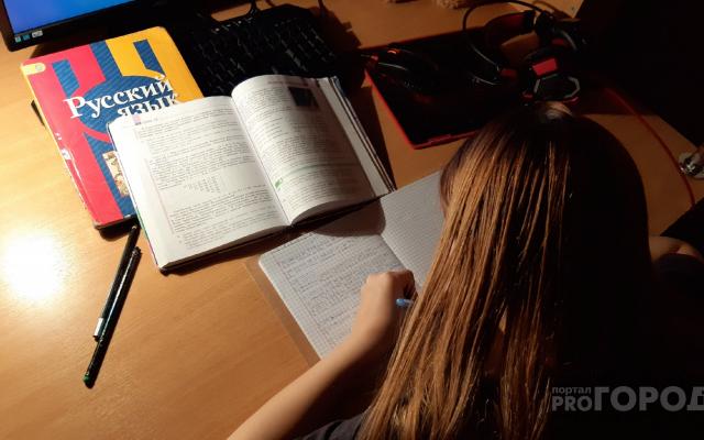 Испытание «удаленкой»: мнения родителей, учителей и министра образования о новой форме обучения