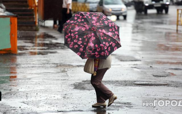 Дожди и грозы: известно, какая погода ждет жителей Кирово-Чепецка в выходные