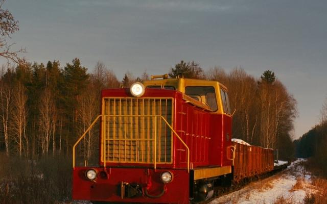 С 1 мая пассажирам Каринской узкоколейки запретят ездить без масок